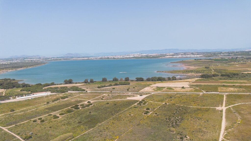 Apartment in Torrevieja (La Mata)