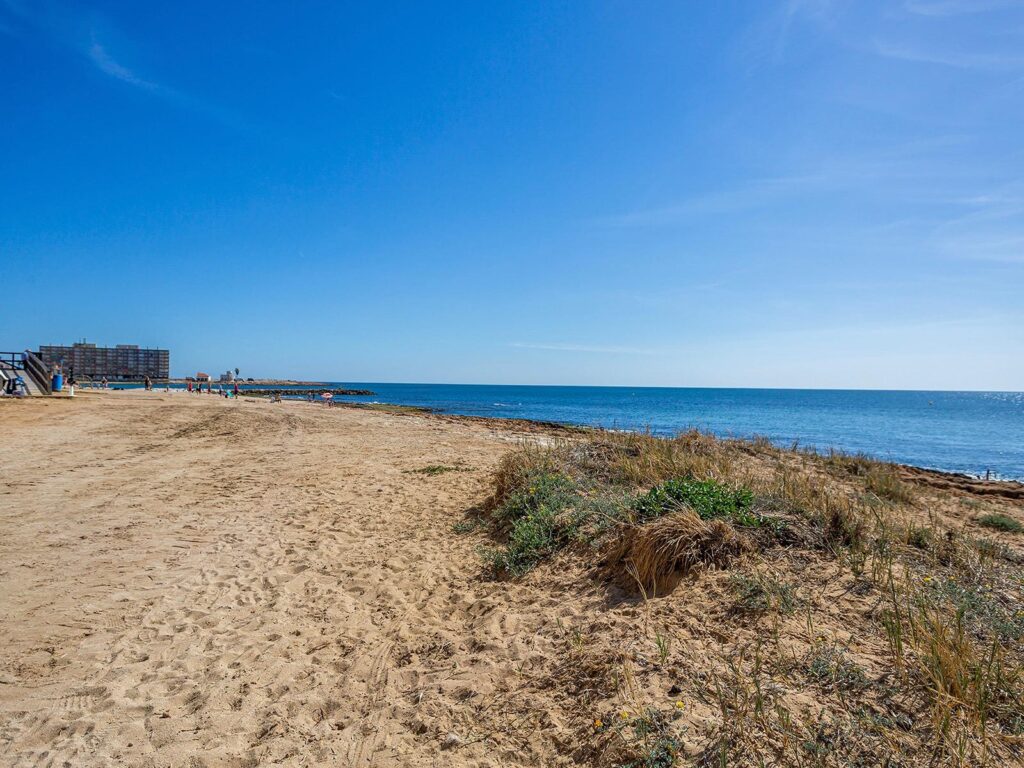 Apartment in Torrevieja (Centro)